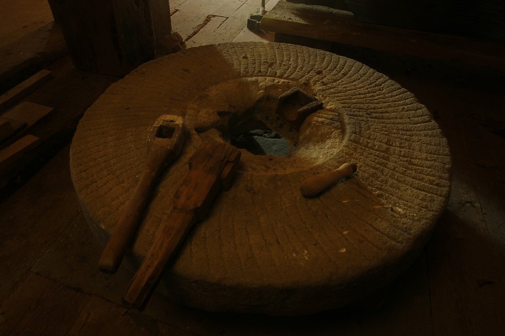 V6A4541.jpg