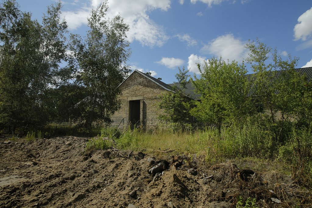 V6A6842.jpg