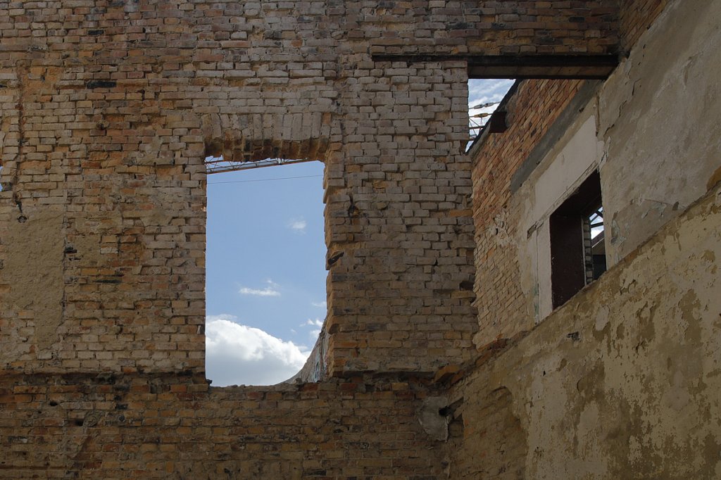 V6A6855-2.jpg