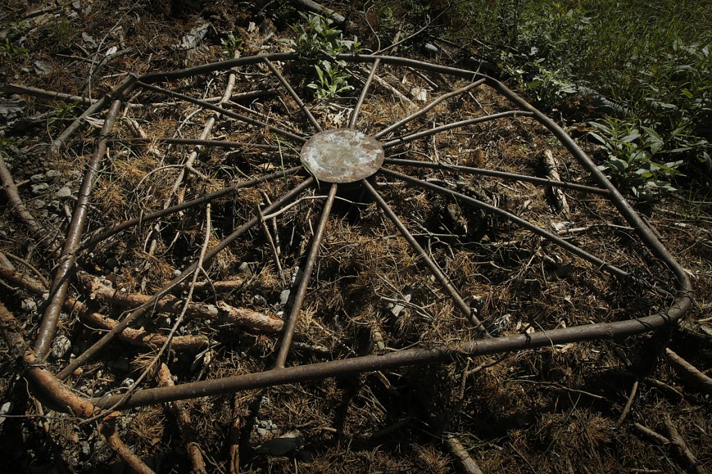 V6A8402.jpg
