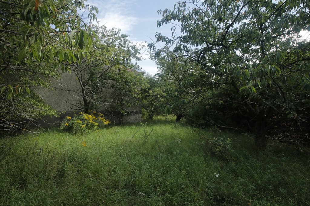 V6A8427.jpg