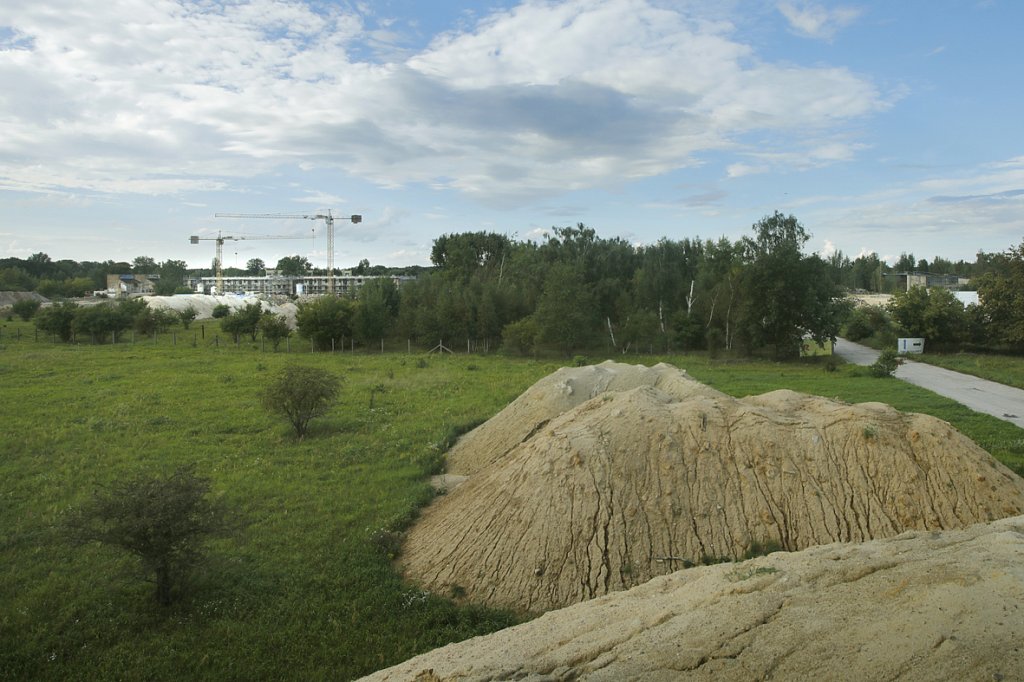 V6A8627.jpg