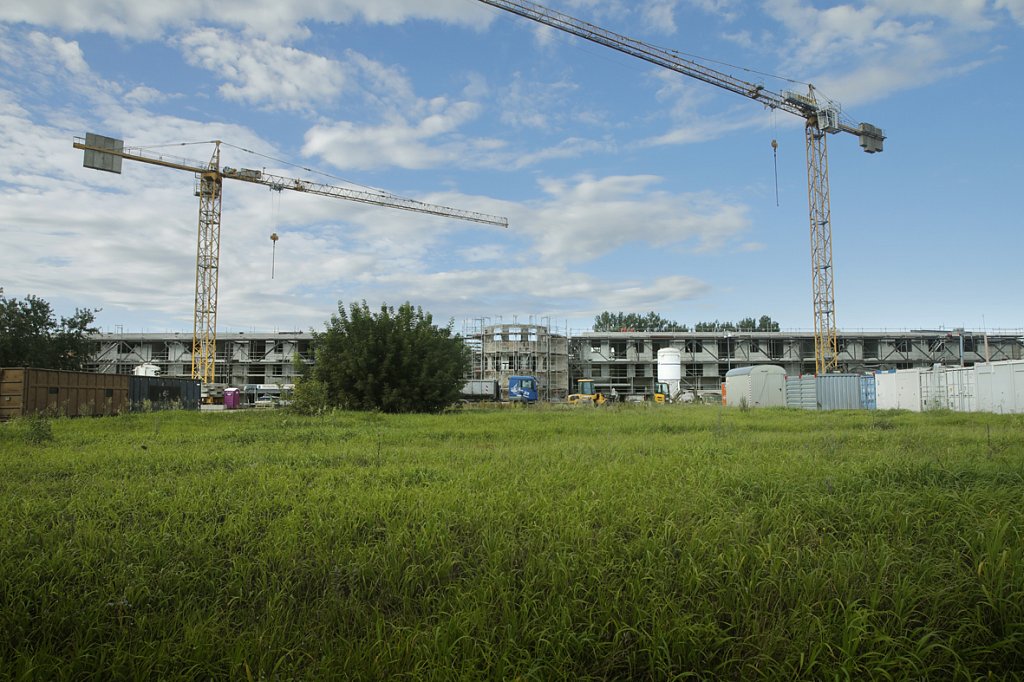 V6A8633.jpg
