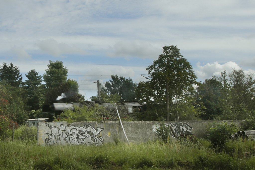 V6A8482.jpg